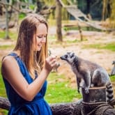 Thumbnail 3 - Meet the Meerkats, Servals and Lemurs at Hoo Farm for Two