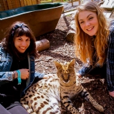 Thumbnail 2 - Meet the Meerkats, Servals and Lemurs at Hoo Farm for Two