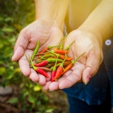 Thumbnail 3 - Chilli Tasting Experience For Two