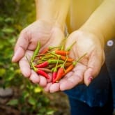 Thumbnail 1 - Chilli Tasting Experience For Two