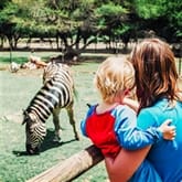 Thumbnail 5 - Family Entrance to Dudley Zoo