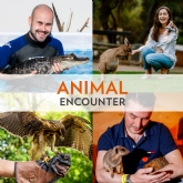 Thumbnail 1 - Animal Encounter