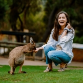 Thumbnail 4 - Animal Encounter
