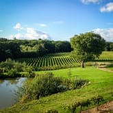 Thumbnail 5 - The Perfect Gift for Budding Wine Buffs 