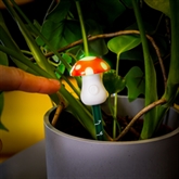 Thumbnail 6 - Mushroom Houseplant Moisture Meter