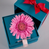 Thumbnail 2 - Bloom in a Box Birthday Wishes Gift Set