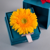 Thumbnail 2 - Bloom in a Box Thinking Of You Gift Set