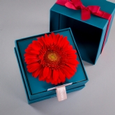 Thumbnail 4 - Bloom in a Box My Moon & Star Duo Gift Set