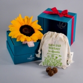 Thumbnail 1 - Bloom in a Box A Little Sunshine Gift Set