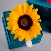 Thumbnail 2 - Bloom in a Box A Little Sunshine Gift Set