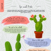 Thumbnail 2 - Please Don't Die: A Guide For Neglectful Houseplant Owners
