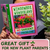Thumbnail 3 - Windowbox Wonderland Book