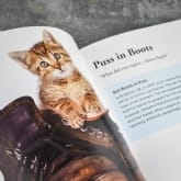 Thumbnail 3 - Cats Gone Bad Real Life Stories Book