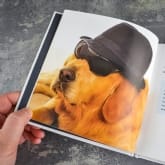 Thumbnail 3 - Dogs Gone Bad Real Life Stories Book