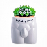 Thumbnail 2 - Look At My Prick Male Anatomy Plant Pot