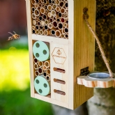 Thumbnail 3 - Air Bee n Bee Wooden Bug House