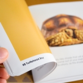 Thumbnail 9 - 50 Shades of Brown Book