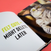 Thumbnail 10 - Funny Cats Novelty Book