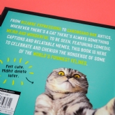 Thumbnail 3 - Funny Cats Novelty Book