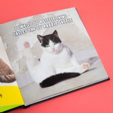 Thumbnail 4 - Funny Cats Novelty Book