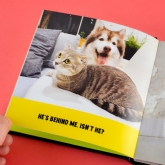 Thumbnail 5 - Funny Cats Novelty Book