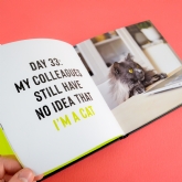 Thumbnail 6 - Funny Cats Novelty Book