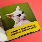 Thumbnail 7 - Funny Cats Novelty Book