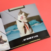 Thumbnail 9 - Funny Cats Novelty Book