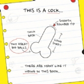 Thumbnail 2 - Spot The Cock - Search and Find Book