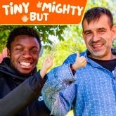 Thumbnail 1 - Lend Me A Tiny Hand Silly Gift
