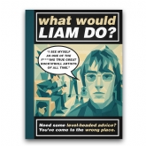 Thumbnail 3 - What Would Liam Do? The Unofficial Oasis Gift Book