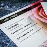 Thumbnail 2 - personalised name a rose bush