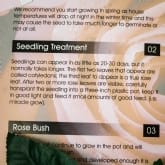 Thumbnail 3 - personalised name a rose bush