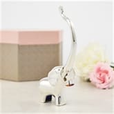 Elephant ring clearance holder