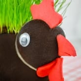 Thumbnail 2 - Grow Your Own Hairy Cockerel
