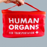 Thumbnail 6 - Human Organs Lunchbag