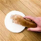 Thumbnail 2 - Pet Paw Clay Moulding Kit