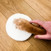 Thumbnail 3 - Pet Paw Clay Moulding Kit