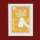 Thumbnail 5 - how to catch a spider poster