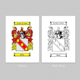 Thumbnail 2 - Personalised Coat of Arms Surname Lightbox