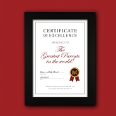 Thumbnail 4 - Personalised Certificate of Excellence Prints