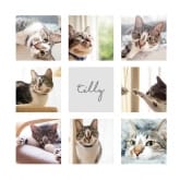 Thumbnail 5 - Personalised Cat Multi Photo and Quote Print 