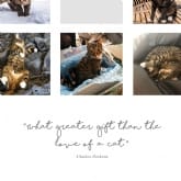 Thumbnail 6 - Personalised Cat Multi Photo and Quote Print 