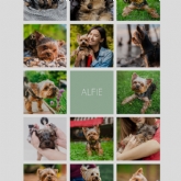 Thumbnail 9 - Personalised Photo Album Print