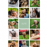 Thumbnail 2 - Personalised Photo Album Print