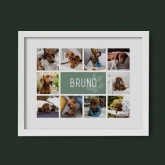 Thumbnail 4 - Personalised Dog Photo Collage Print