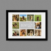 Thumbnail 10 - Personalised Dog Photo Collage Print