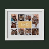 Thumbnail 7 - Personalised Cat Photo Collage Print