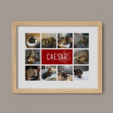 Thumbnail 8 - Personalised Cat Photo Collage Print