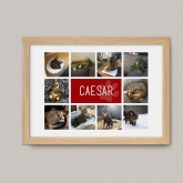 Thumbnail 9 - Personalised Cat Photo Collage Print